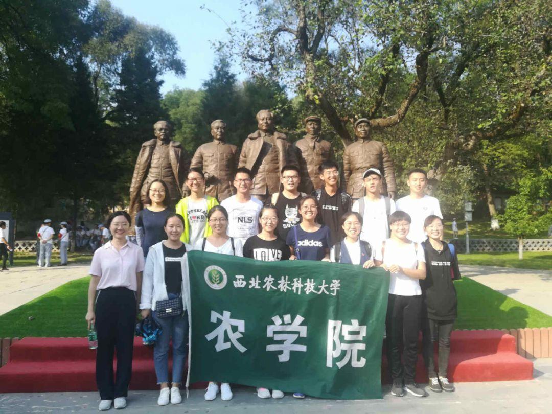 逃离未知丛林2
